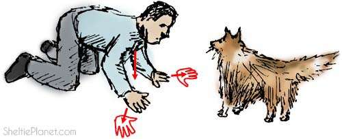 Cool Dog Games Cool Dog Games