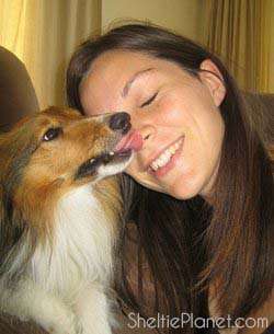My Sheltie
