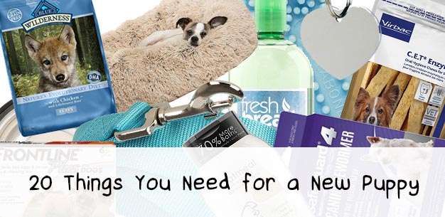 20 Things You Need for a New Puppy 20 Things You Need for a New Puppy