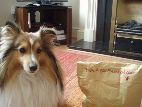 4leggedlondon Prize