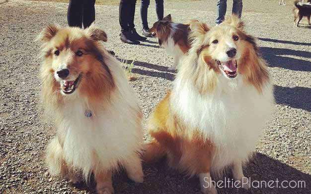 Archie and King Archie and King