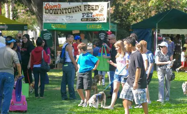 Bark in The Park