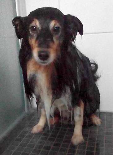 My sweet boy Ronny. By Nancy Vogtel My sweet boy Ronny. By Nancy Vogtel