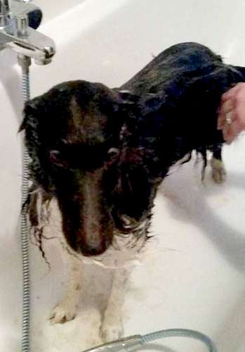 Don't wash me away! Don't wash me away!