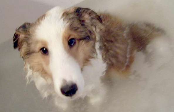 Is it over yet? By Holly Den Bleyker Is it over yet? By Holly Den Bleyker