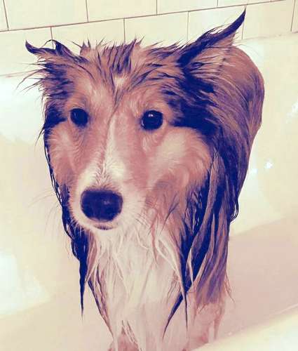 All washed up. By Amanda Ritchey All washed up. By Amanda Ritchey