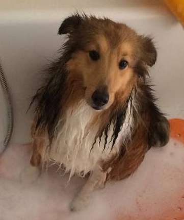 Molly! By Martina Jakab Molly! By Martina Jakab
