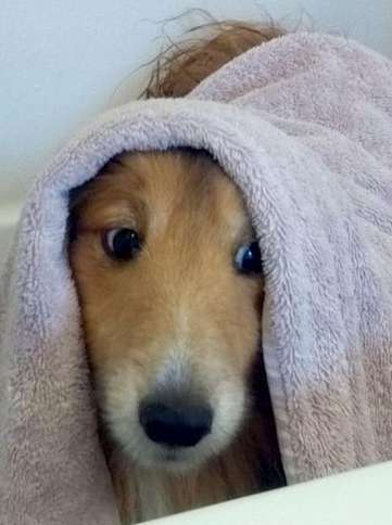 I suppose you think this is cute I suppose you think this is cute