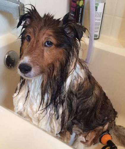 Now there's a look! Now there's a look!