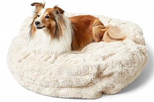 A medium dog bed for a Sheltie costs $40