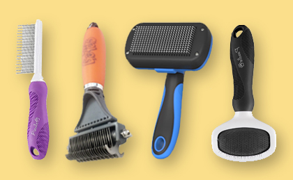 What is The Best Dog Brush? What is The Best Dog Brush?