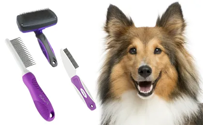 The Best Brushes for Shelties The Best Brushes for Shelties