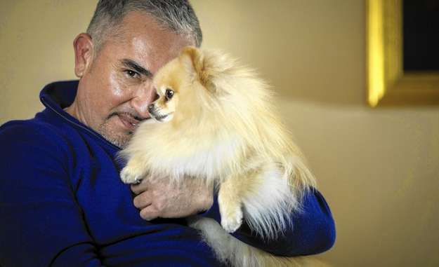 Cesar Millan The Dog Whisperer Cesar Millan The Dog Whisperer