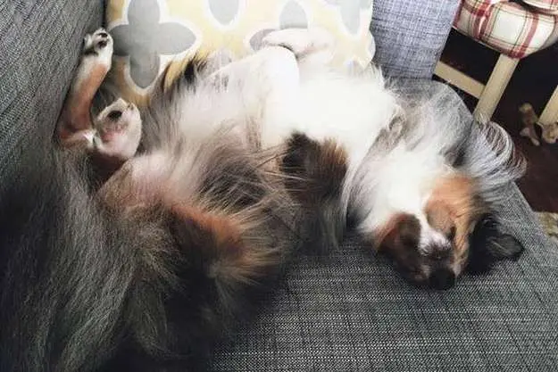 Cuteness