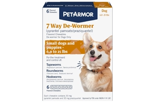 Deworming a small Sheltie dog costs $40 per year