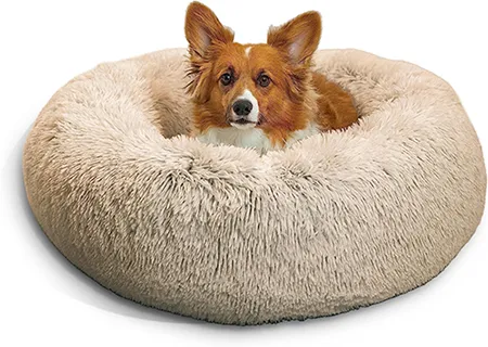 Dog Bed for Shelties Dog Bed for Shelties