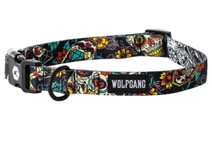 A Sheltie dog collar costs $25