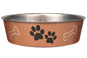 Dog food and water bowls cost $15