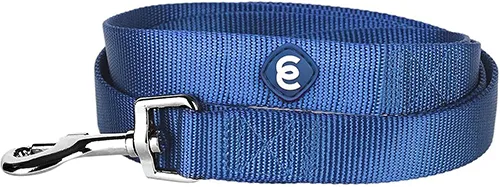 Best collar for sheltie outlet