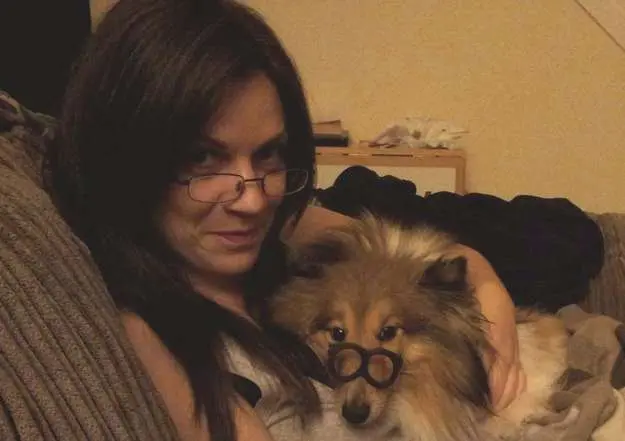 Sheltie wearing glasses Sheltie wearing glasses