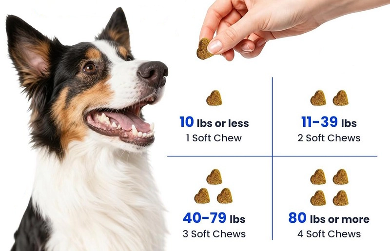 Fish Oil Dosage for Shelties
