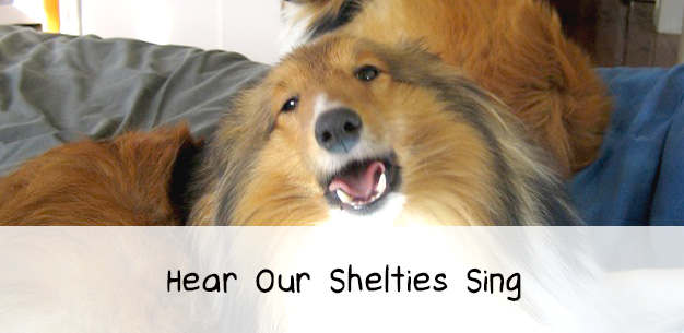 Hear Our Shelties Talk
