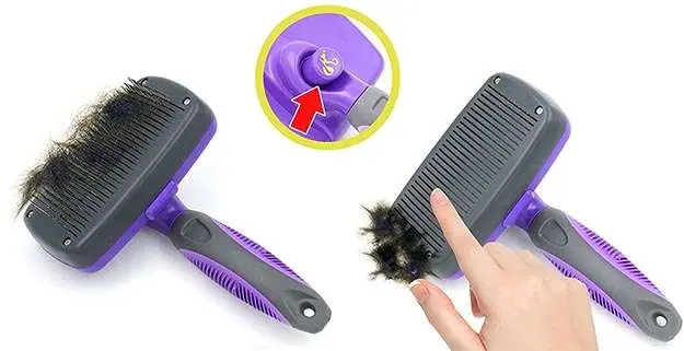 A slicker brush is best for tidying up your Sheltie's outercoat A slicker brush is best for tidying up your Sheltie's outercoat