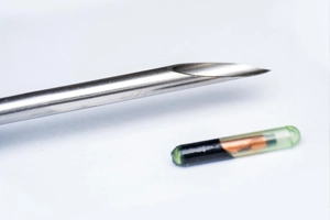 Dog microchip insertion costs around $100