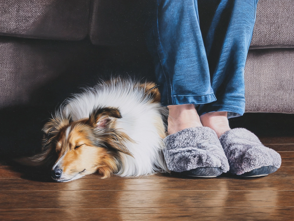 The right roommate can support your Sheltie's wellbeing