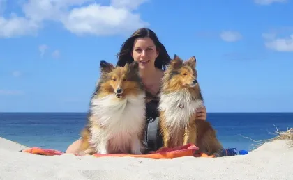 Meet Howard and Piper Meet Howard and Piper