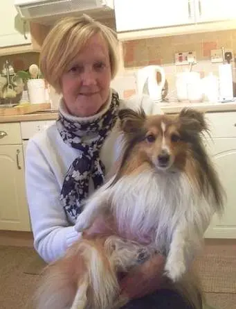 Lady with Sheltie
