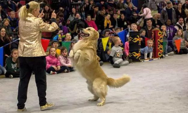 The Long Island Pet Expo