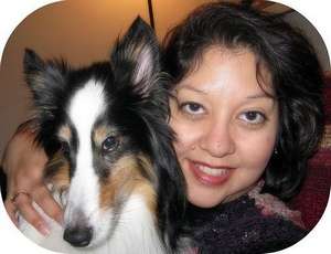 My Tri Color Sheltie My Tri Color Sheltie