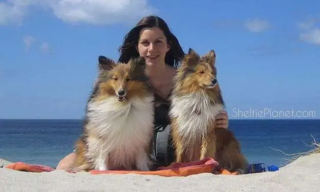 Becky Casale with her two Shelties, Piper and Howard Becky Casale with her two Shelties, Piper and Howard