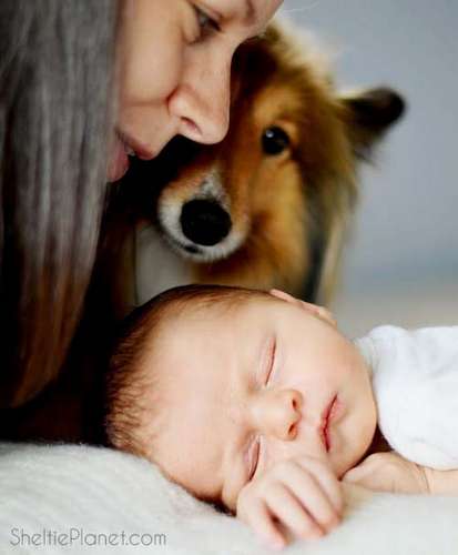 Peek a Boo! Piper wanted in on our newborn photo shoot Peek a Boo! Piper wanted in on our newborn photo shoot
