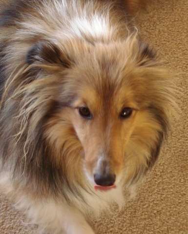 Piper Licks His Lips