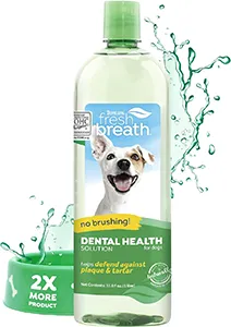Plaque Remover for Shelties Plaque Remover for Shelties