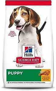 Puppy Food for Shelties Puppy Food for Shelties