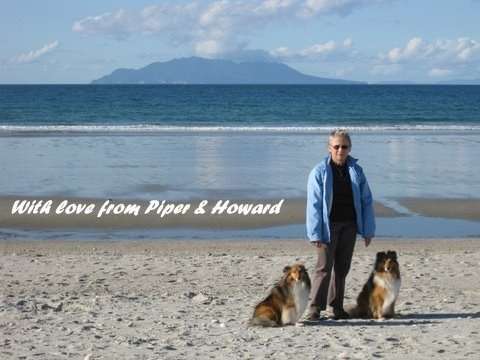 Raewyn and The Shelties