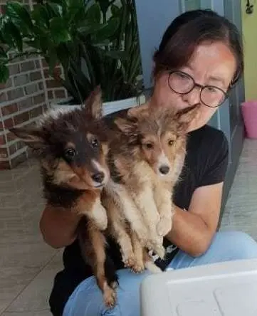 A Rescue Worker Who Fights Against The Dog Farming Industry