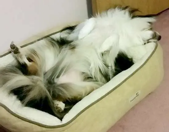 Crashed Out