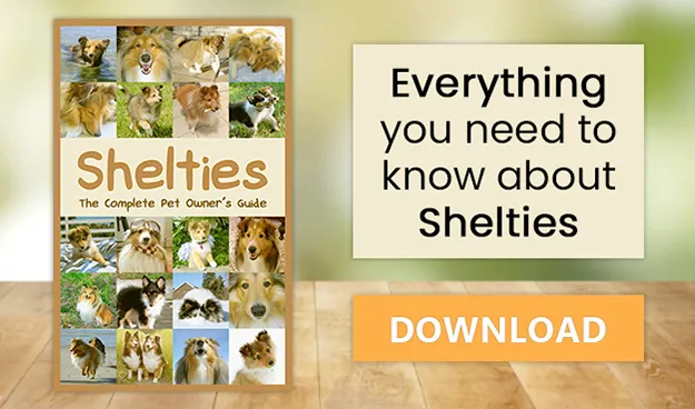 Shelties: The Complete Pet Owner's Guide Shelties: The Complete Pet Owner's Guide