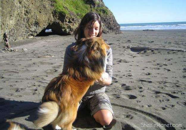 Me and my Sheltie Piper on the beach Me and my Sheltie Piper on the beach