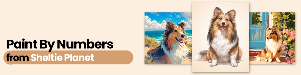Sheltie Paint By Numbers Sheltie Paint By Numbers