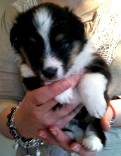 Baby Razzle! By Julie Jane Jones Baby Razzle! By Julie Jane Jones