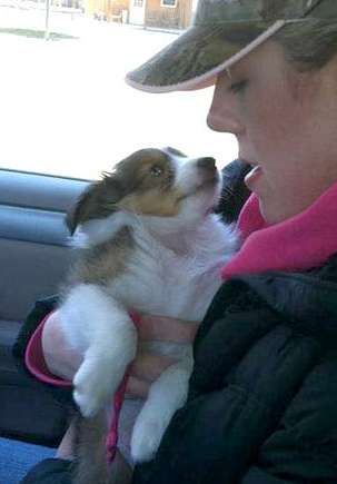 The day I brought Gunner home. By Kristyn Geiser The day I brought Gunner home. By Kristyn Geiser