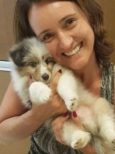 Iwin at 8 weeks. Fur alert! By Luciana Reck Iwin at 8 weeks. Fur alert! By Luciana Reck