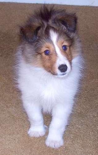 This was 2006. I lost him in 2014. I miss him like crazy. By Lisa Pyrdum Willoughby This was 2006. I lost him in 2014. I miss him like crazy. By Lisa Pyrdum Willoughby