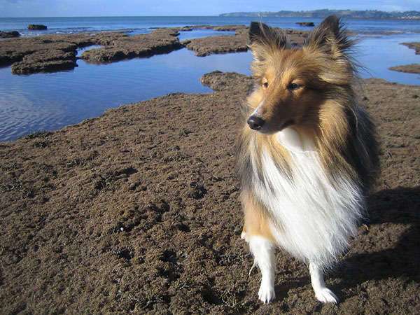 Piper gazing heroically into the middle distance Piper gazing heroically into the middle distance