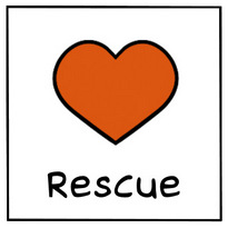 Sheltie Rescue: Sheltie Puppies for Adoption Sheltie Rescue: Sheltie Puppies for Adoption